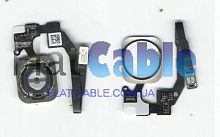 Шлейф кнопки Home + белая кнопка iPhone 5s 