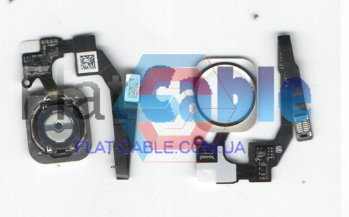 Шлейф кнопки Home + белая кнопка iPhone 5s 