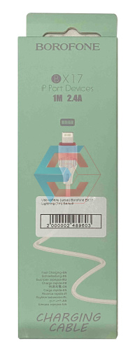 USB-кабель (шнур) Borofone BX17 Lightning (1m) Білий