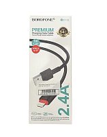 USB-кабель (шнур) Borofone BX110 Lightning 2.4A (Чорний)