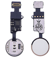 Шлейф кнопки Home iPhone 7, 7 Plus, 8, 8 Plus, SE 2020 (сенсорная, без touch id) Бело-золотистая